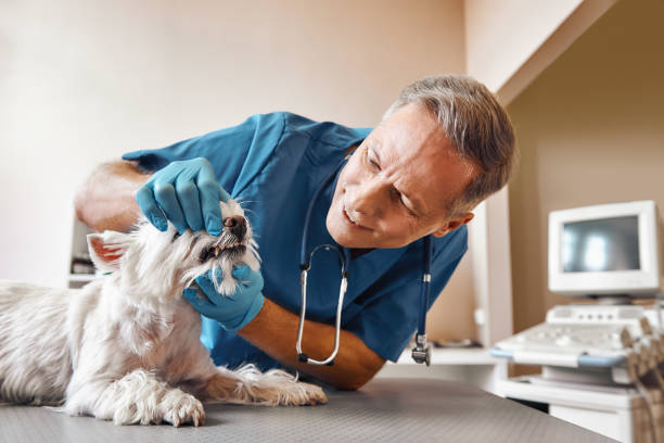 Best Emergency Broken Tooth Repair in Hope, AR